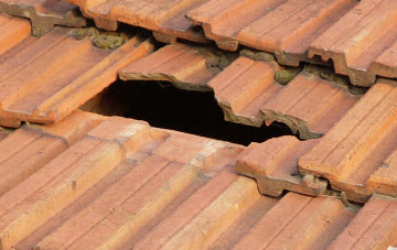 roof repair Newbuildings, Devon